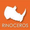 Rinoceros Groessen
