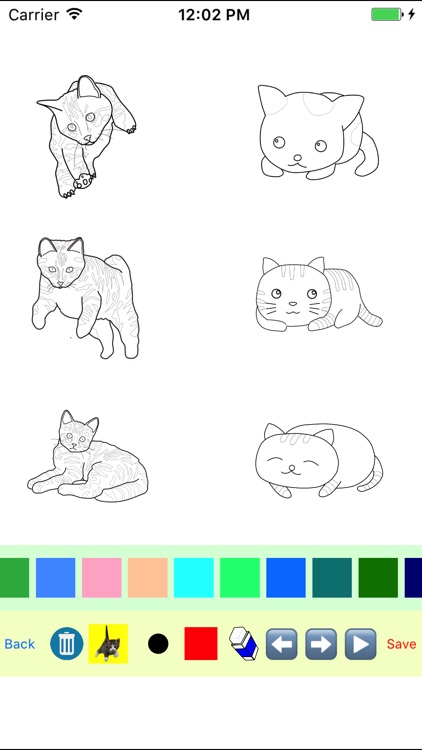 Kitten Cat Moves Coloring Book