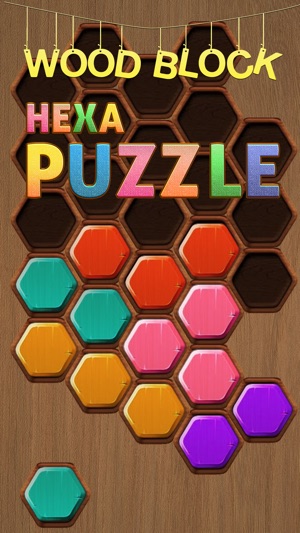 Wood Block Puzzle HEXA(圖1)-速報App