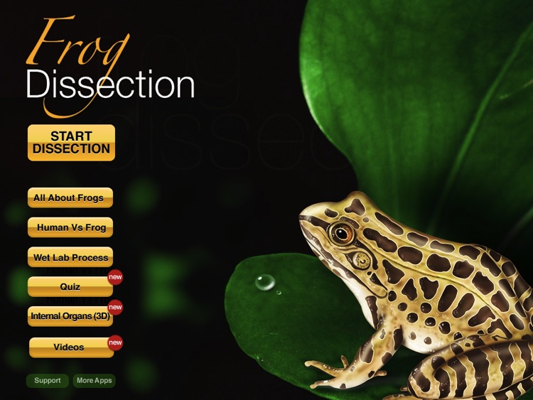 Frog Dissection