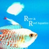 River And Reef Aquatics