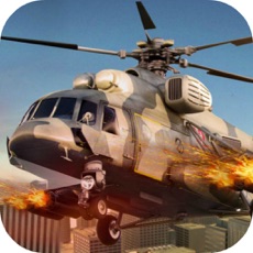 Activities of Pocket Helicopter Fire War