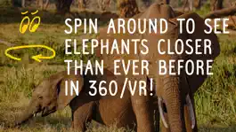 Game screenshot Virry Play, learn wild animals apk