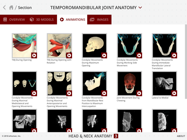 Head and Neck Anatomy 3(圖7)-速報App