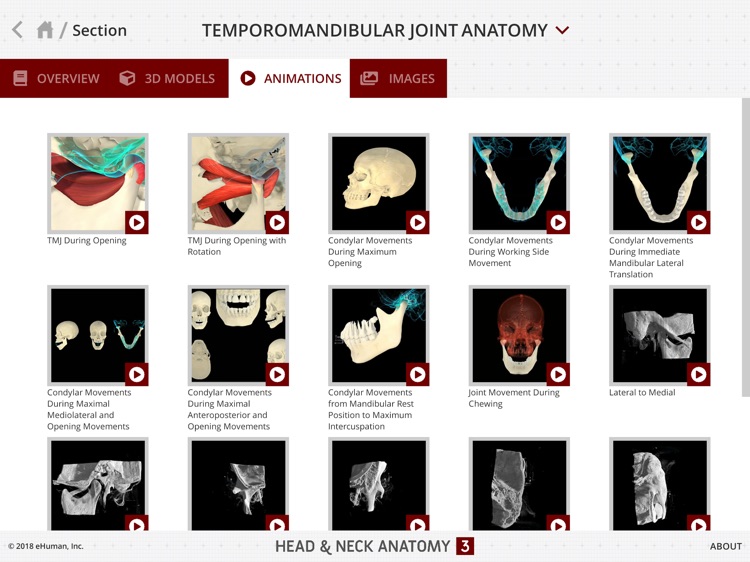 Head and Neck Anatomy 3 screenshot-6