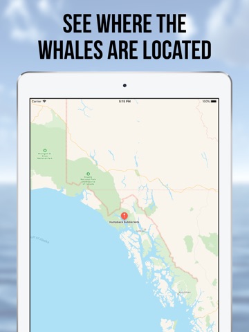 Whale Radio screenshot 3