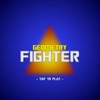 Geo-Fighter