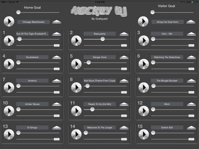 Hockey DJ(圖1)-速報App