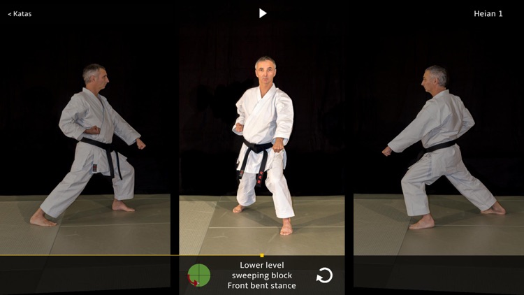 Kata Shotokan