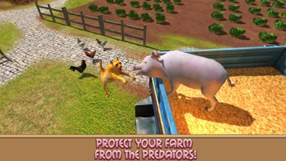 Life of House Pig Simulator screenshot 2