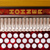Hohner Mini-SqueezeBox-Michael Eskin