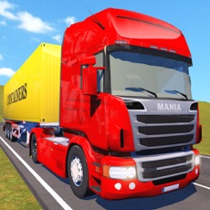 Activities of Truck Driver Transport