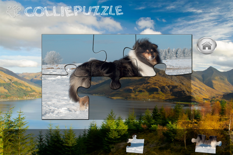 Collie Puzzle screenshot 4