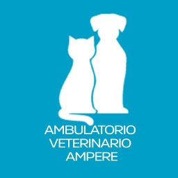 AMBULATORIO VETERINARIO AMPERE