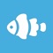 Aquarium calculator can be used to calculate the volume of water in square, rectangular, cylindrical or hexagon aquariums