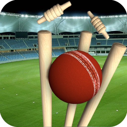 Real Cricket Runout Championship icon