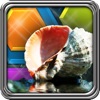 HexLogic - Seashells