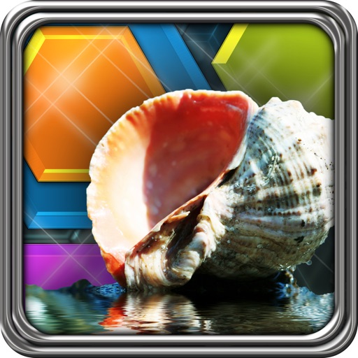 HexLogic - Seashells icon