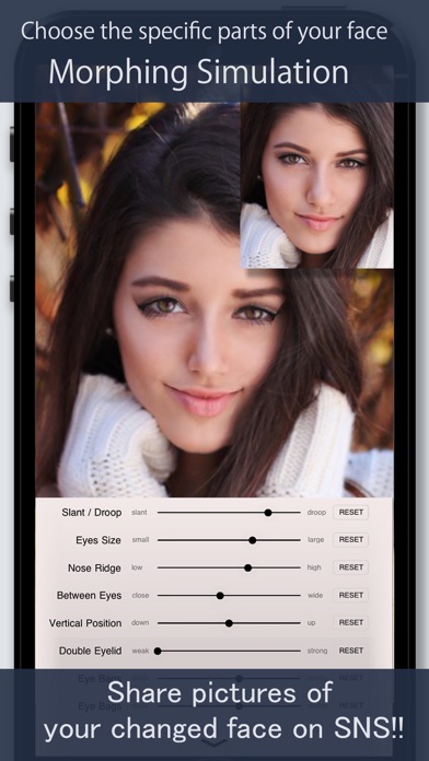 Face Simulation - FaceSim screenshot 3
