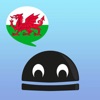 Welsh Verbs - LearnBots Pro.