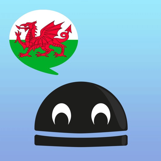 Welsh Verbs - LearnBots Pro. icon