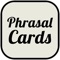 Learn English phrasal verbs in a fun and easy way via 500 flashcards with pictures and pronunciation