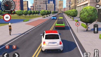 Driving School Fever screenshot 3