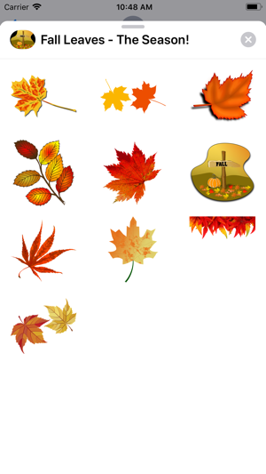 Fall Leaves - The Season!(圖1)-速報App