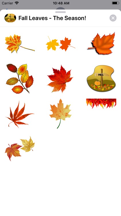 Fall Leaves - The Season!