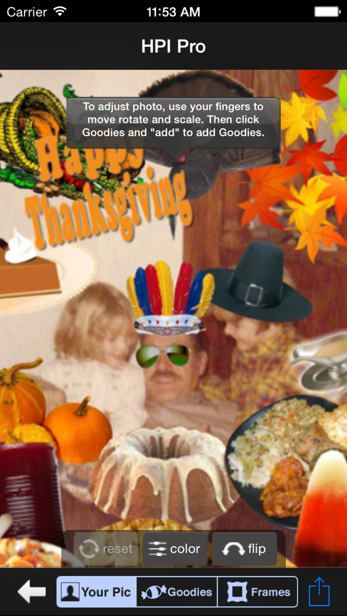 Holiday Picture It Pro