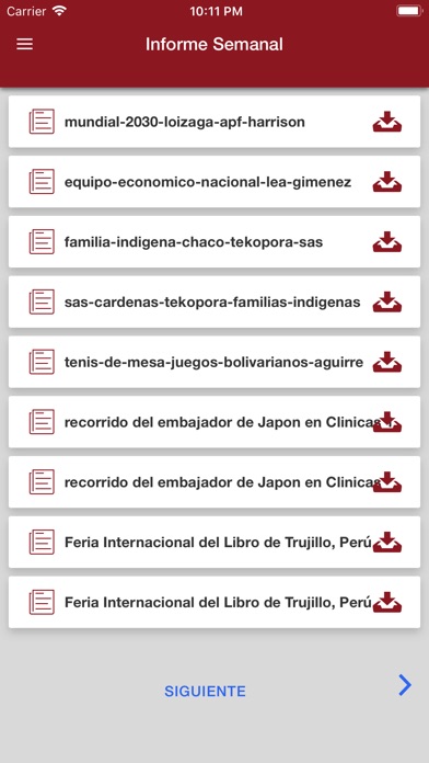 Agencia IP Paraguay screenshot 3