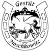 Gestüt Noschkowitz