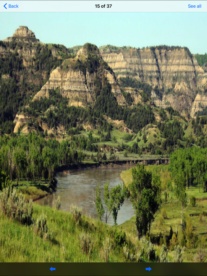 Theodore Roosevelt - N.Park