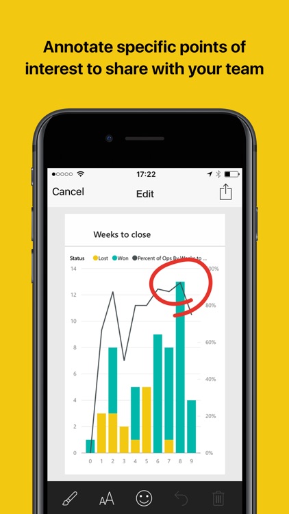 Microsoft Power BI screenshot-3