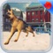 Sleigh dogs can now transport passengers in wooden cart in this ice sledding missions in snowy terrain