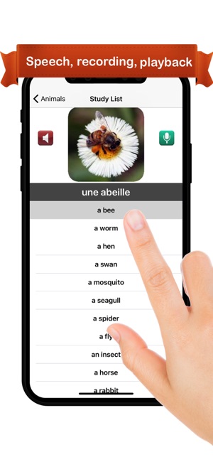 Learn French™(圖2)-速報App