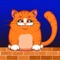 The Cute Cat - Puzzle Game