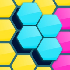 Activities of Hexa Blocks …