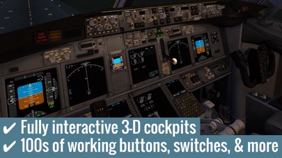 X-Plane 10 Flight Sim... screenshot1