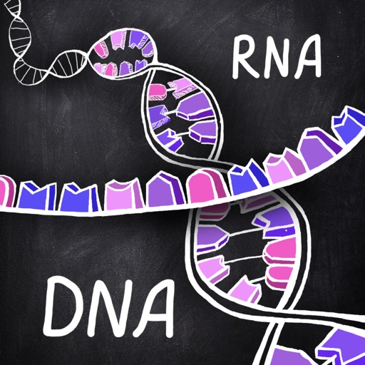 iMolekula: DNA, RNA, proteins icon