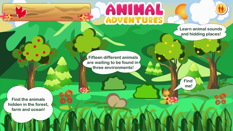 Find Me - Animal Adventures