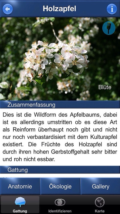 Baum Id Germany screenshot-3