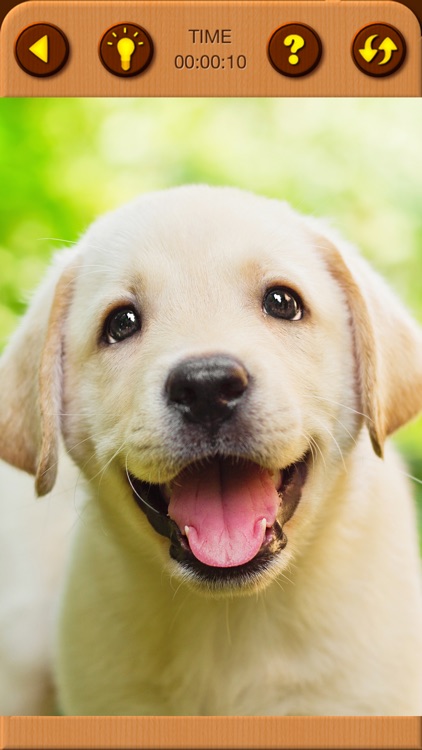 Cute Puppy Jigsaw Puzzle Games screenshot-8