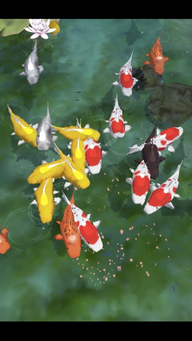 Carp bait -鯉に餌- screenshot 3