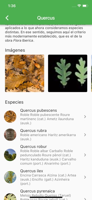 Arboles Ibericos(圖7)-速報App