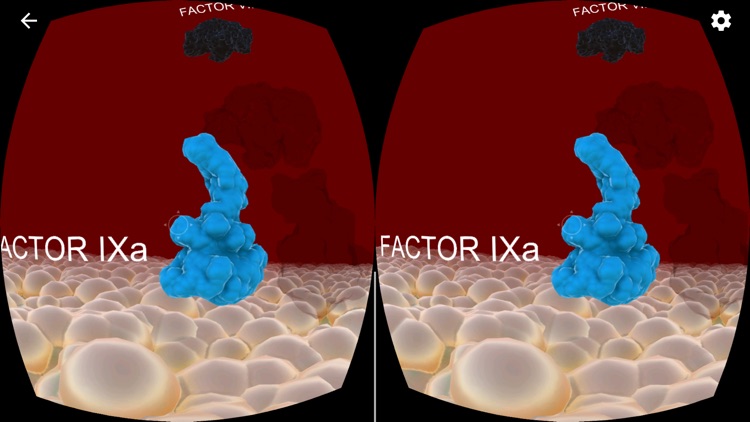 Clotting Cascade Challenge screenshot-3