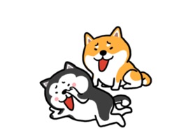 Cute Shiba Husky Friend Sticke
