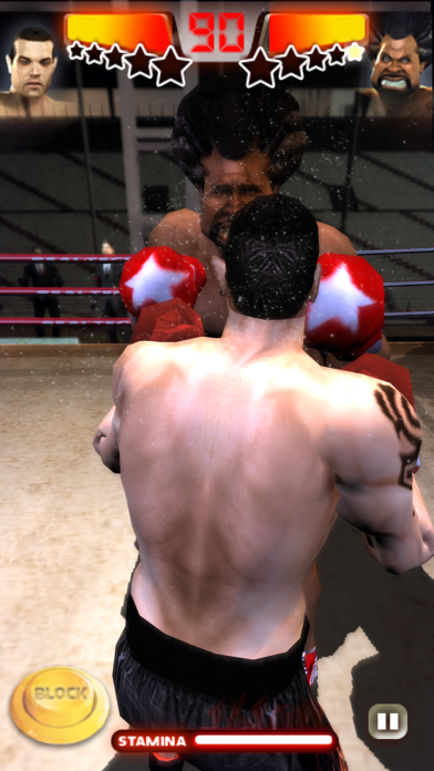 Iron Fist Boxing Lite screenshot1