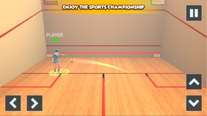 Squash 3D - Ball Sports Gameのおすすめ画像1