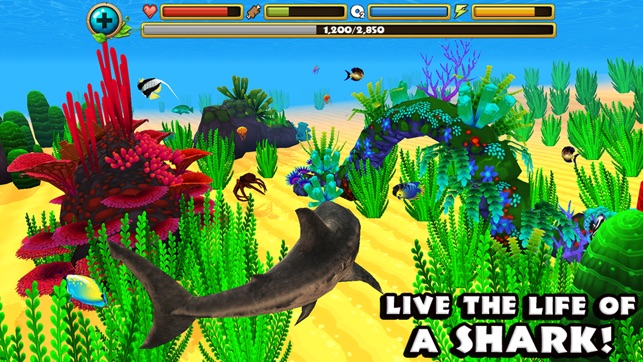 Wildlife Simulator: Shark(圖1)-速報App